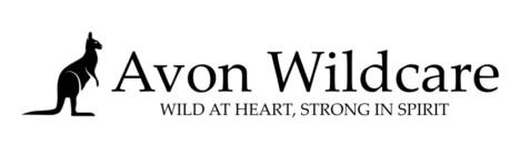 avonwildcare.com.au
